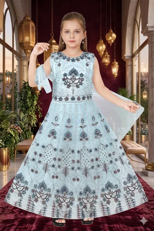 Elegant Sky Blue Embroidered Girls Party Wear Gown Dress
