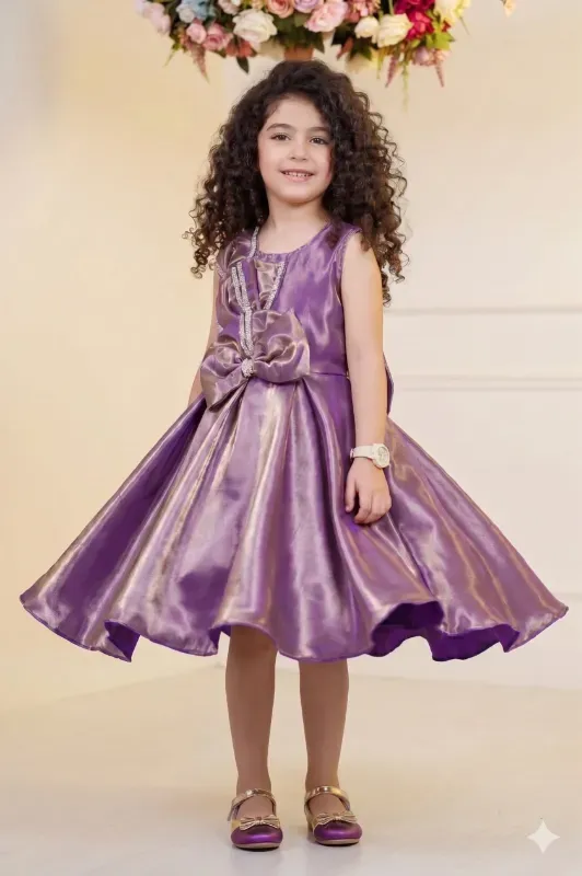 Princess Shimmer Party Wear Girls Frock